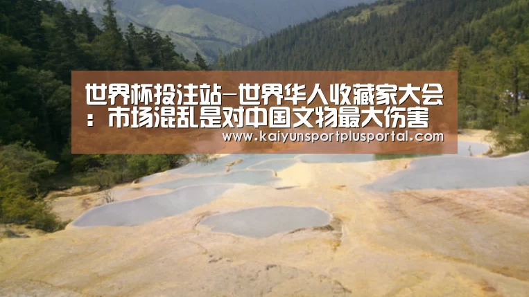 世界杯投注站-世界华人收藏家大会:市场混乱是对中国文物最大伤害(图1) 世界杯投注站官网