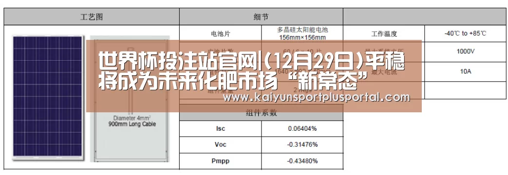 世界杯下注平台
