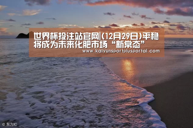 世界杯投注站官网